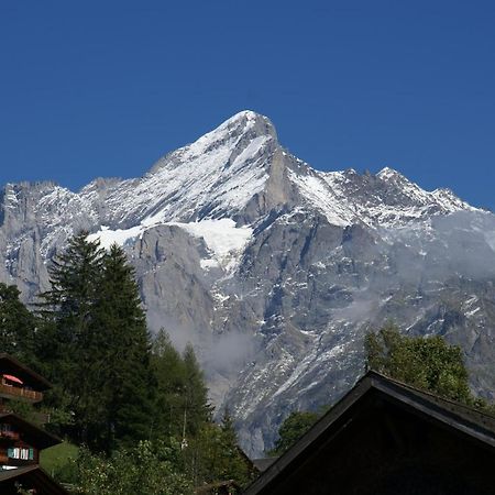 Apartment Baereggblick - Griwa Rent Ag Grindelwald Exterior photo