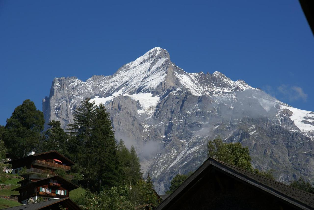 Apartment Baereggblick - Griwa Rent Ag Grindelwald Exterior photo